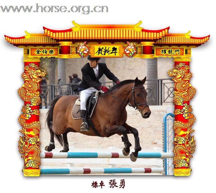 晓光手记：元月22日 金伯乐迎春马术大戏逐个睇 105-110 级别(二)