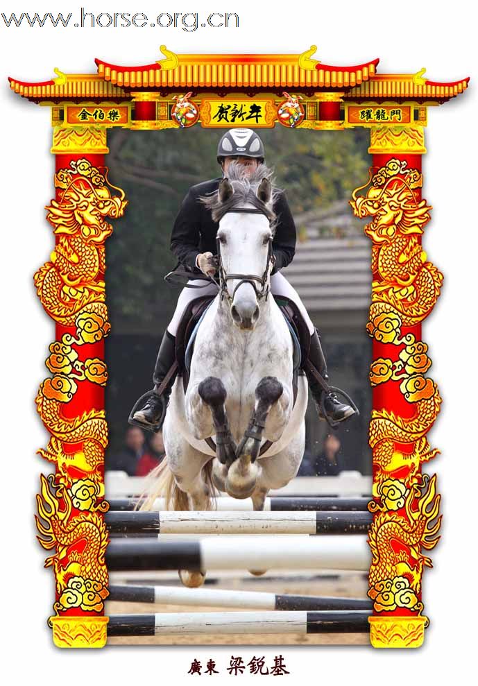 晓光手记：元月22日 金伯乐迎春马术大戏逐个睇 105-110 级别(二)