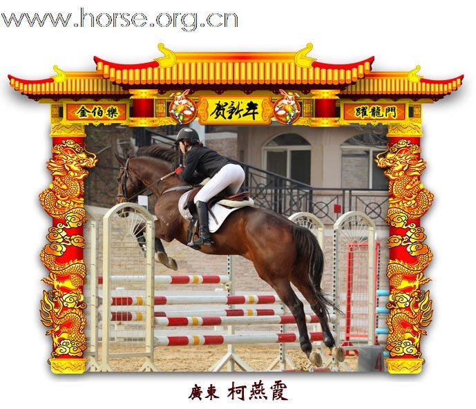 晓光手记：元月22日 金伯乐迎春马术大戏逐个睇 105-110 级别(二)