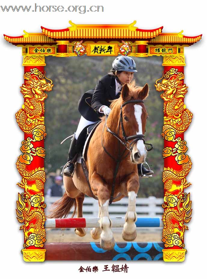 晓光手记：元月22日 金伯乐迎春马术大戏逐个睇 105-110 级别(二)