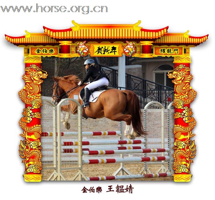 晓光手记：元月22日 金伯乐迎春马术大戏逐个睇 105-110 级别(二)
