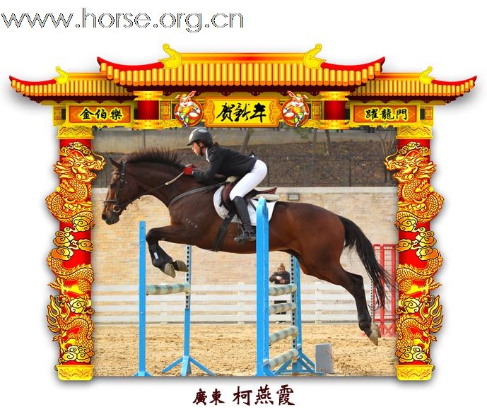 晓光手记：元月22日 金伯乐迎春马术大戏逐个睇 105-110 级别(二)