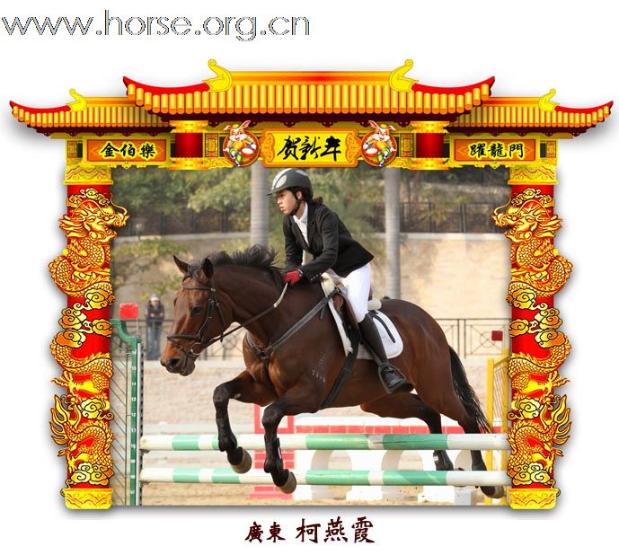 晓光手记：元月22日 金伯乐迎春马术大戏逐个睇 105-110 级别(二)