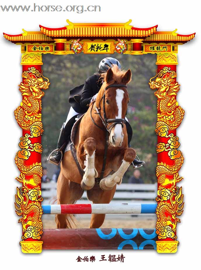 晓光手记：元月22日 金伯乐迎春马术大戏逐个睇 105-110 级别(二)