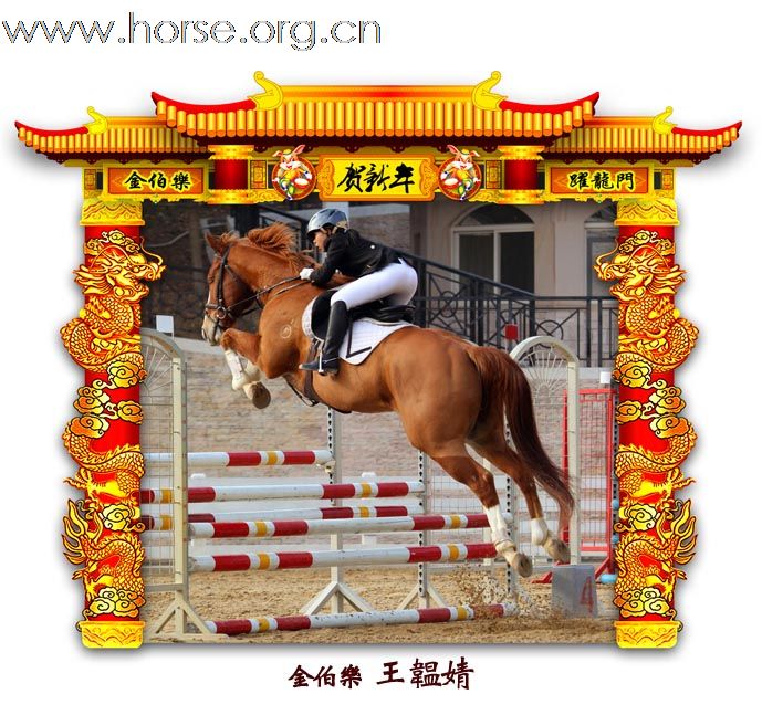 晓光手记：元月22日 金伯乐迎春马术大戏逐个睇 105-110 级别(二)