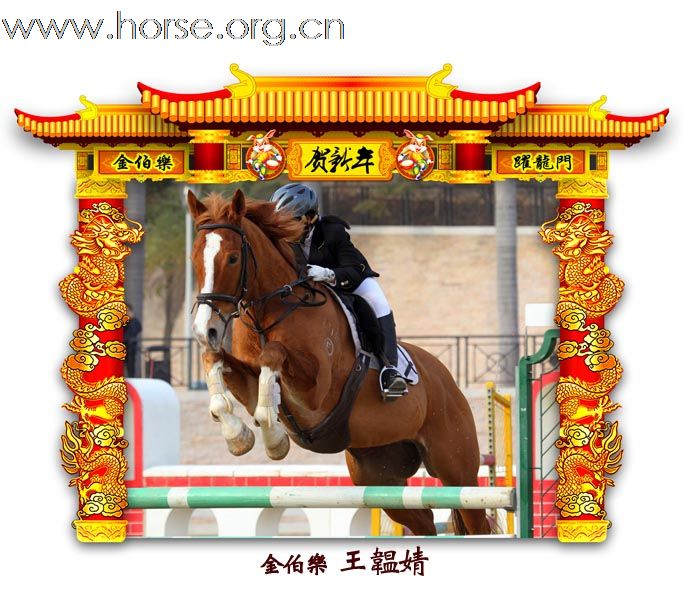 晓光手记：元月22日 金伯乐迎春马术大戏逐个睇 105-110 级别(二)