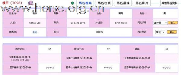 关于我的马