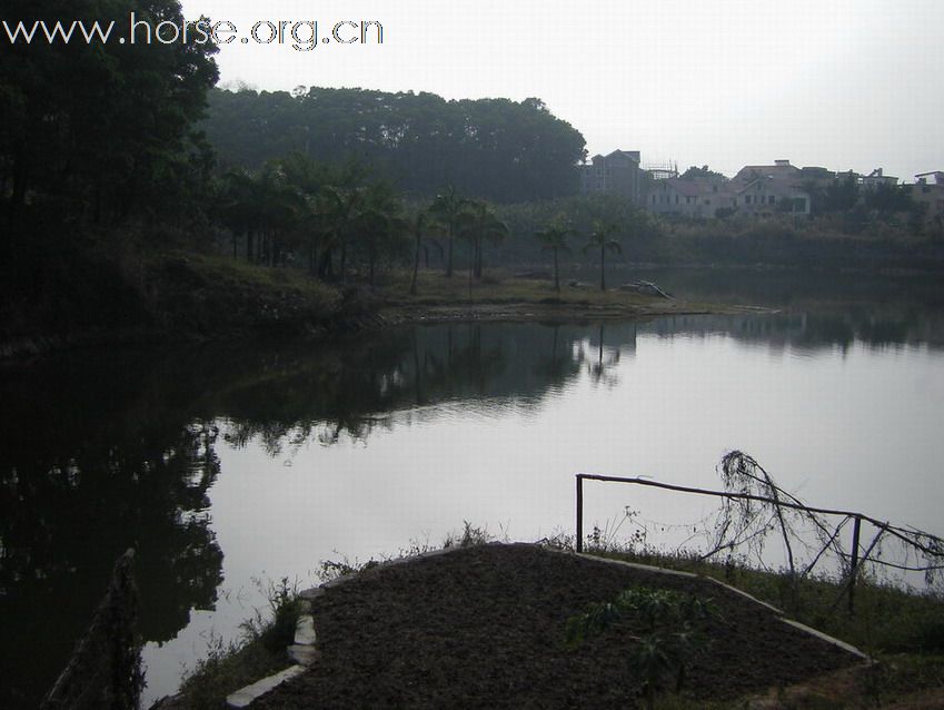 雁鳴湖馬房