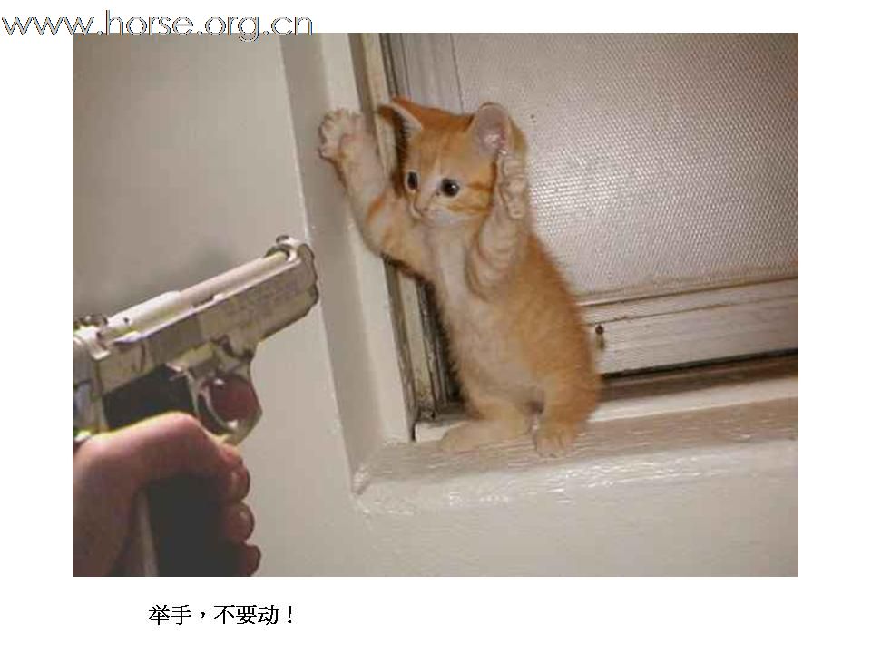 有趣和罕有的照片