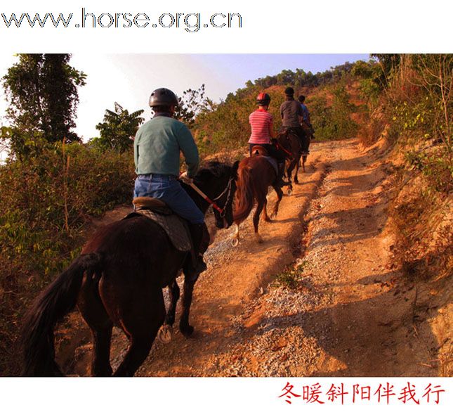 晓光手记:新春东莞清溪大皇山穿越纪行