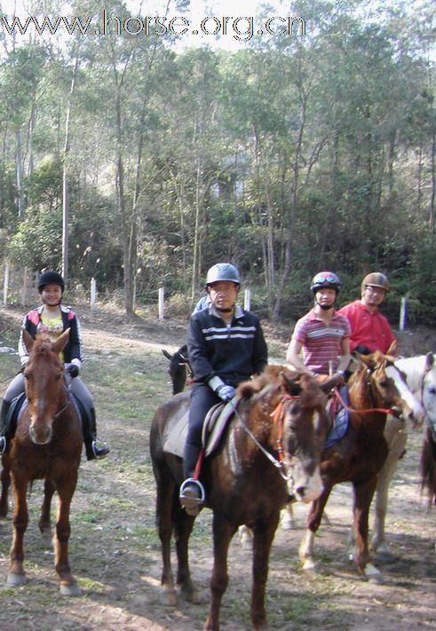 晓光手记:新春东莞清溪大皇山穿越纪行（第一版）