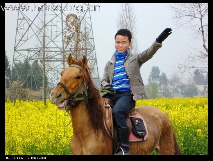暖春踏青 成都快乐马帮游记