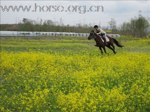 3月20日 成都快乐马帮活动小晒