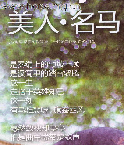 深圳航空 2010.11(1)