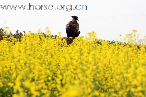 3月20日 成都快乐马帮活动小晒