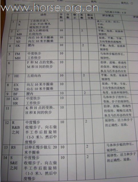 2011年四海标卓杯广东马术邀请赛舞步路线