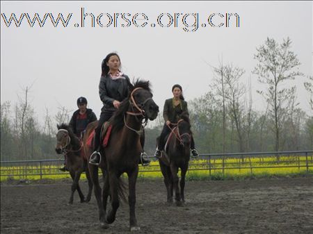成都快乐马帮 女骑士场地练习
