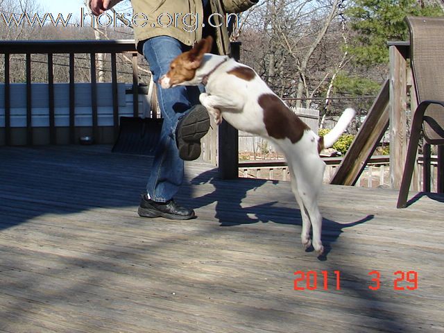 Free Jumping