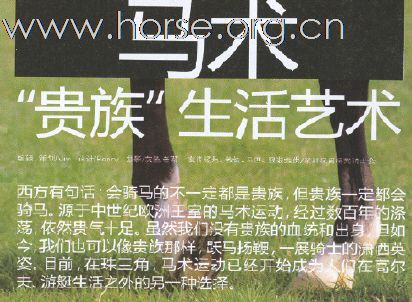 深圳航空 2010.11 (1)