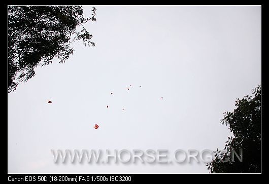 nEO_IMG_IMG_9467.jpg