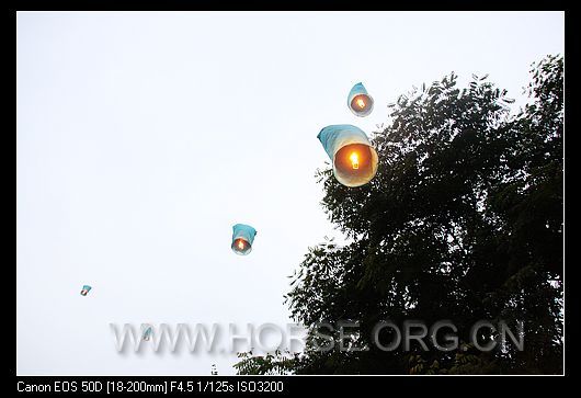 nEO_IMG_IMG_9532.jpg
