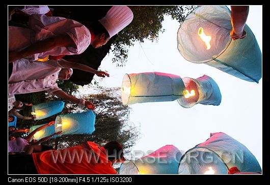 nEO_IMG_IMG_9508.jpg