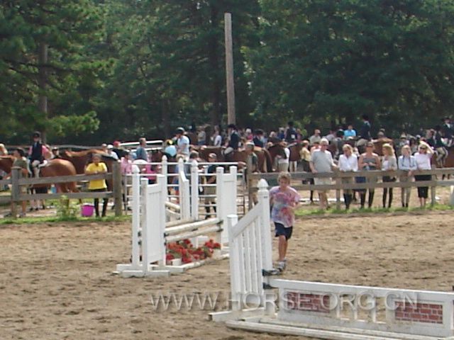 Picture 345.jpg