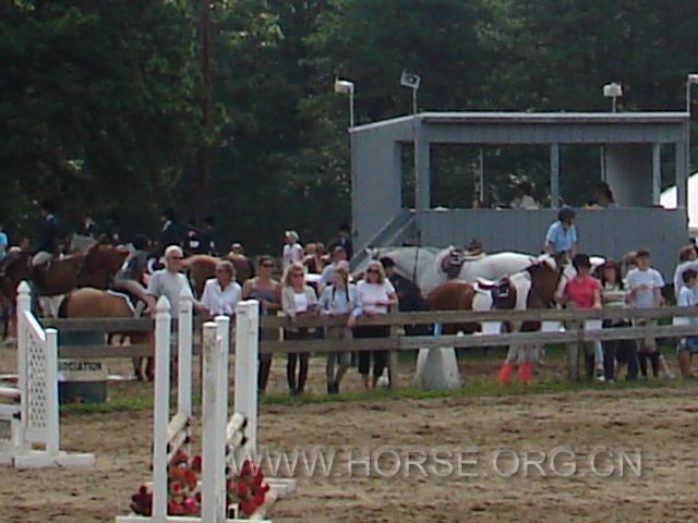 Picture 346.jpg