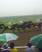 2006年北京顺义赛马场留影.jpg