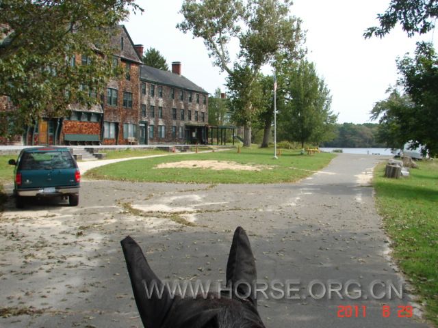 Picture 354.jpg