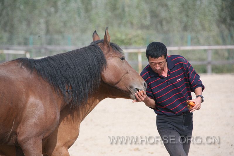 IMG_5029_副本.jpg