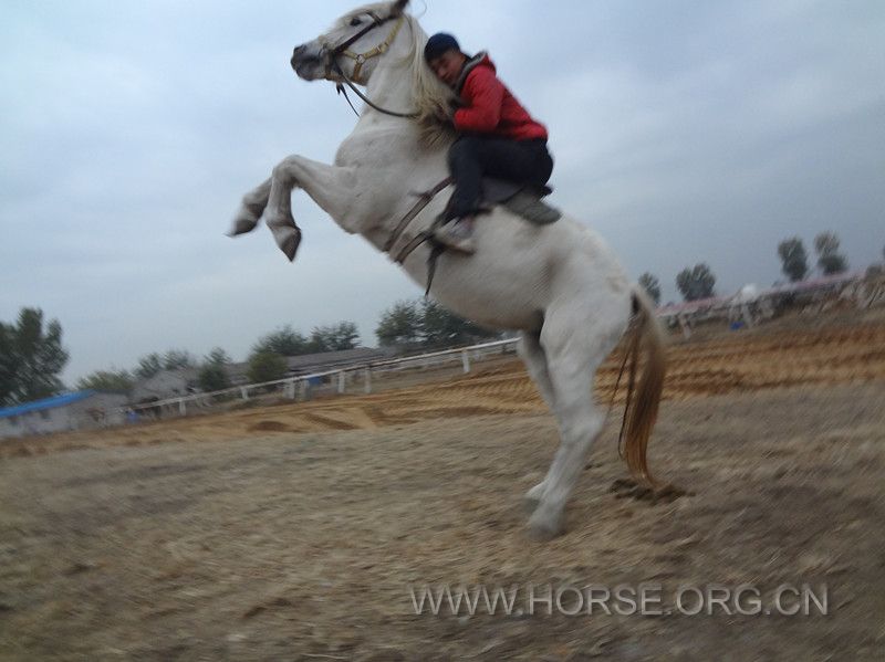 DSC01277_副本.jpg