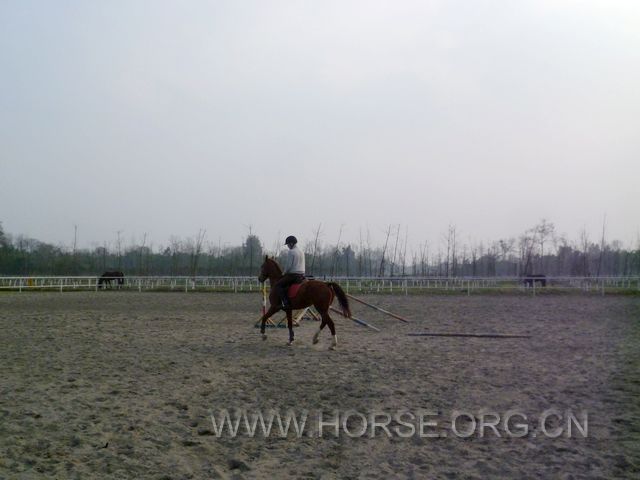 P1030957.JPG