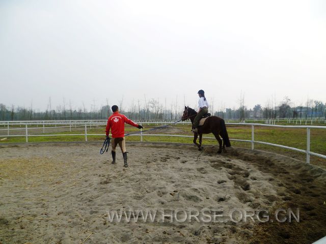 P1030936.JPG