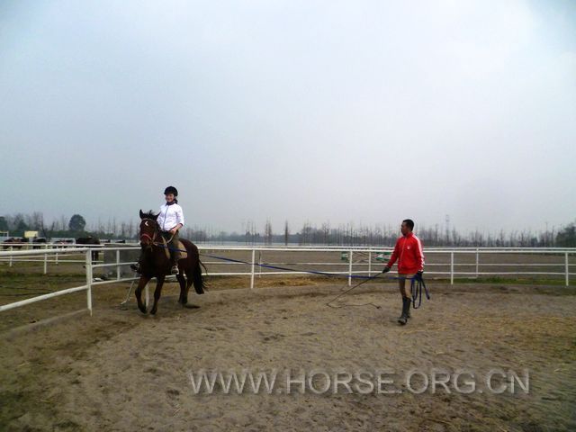 P1030939.JPG
