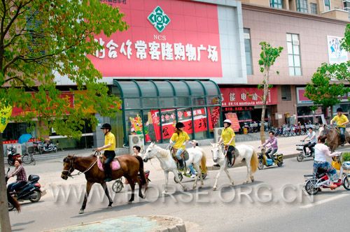 晓友摄影 (55).jpg