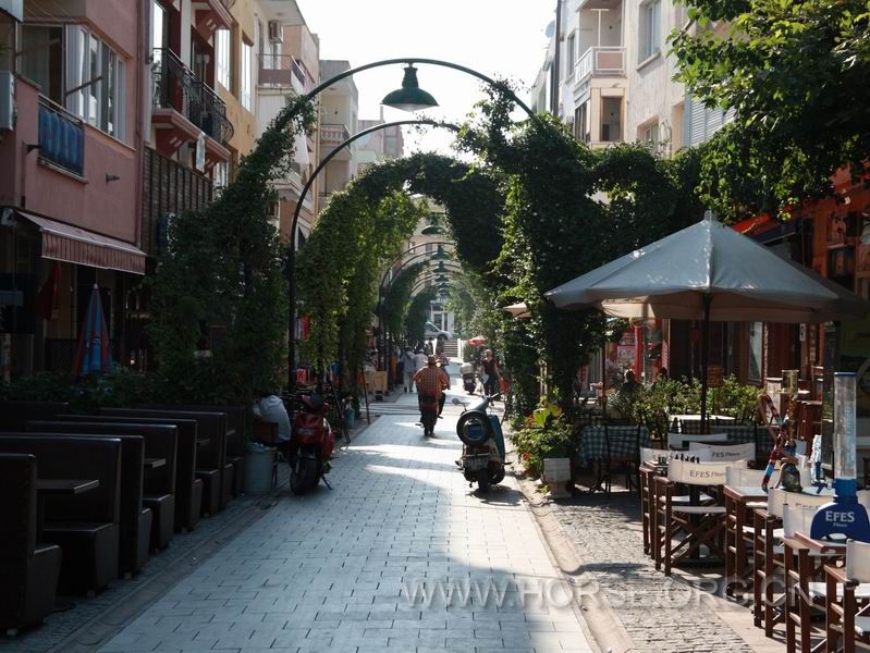 03.JPG