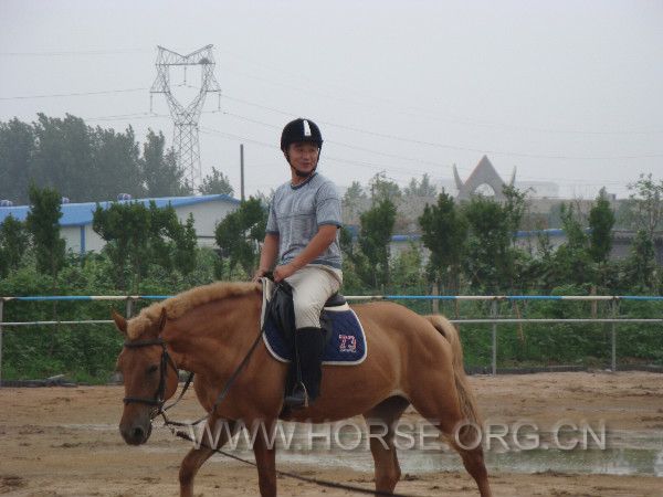 马术网3.jpg