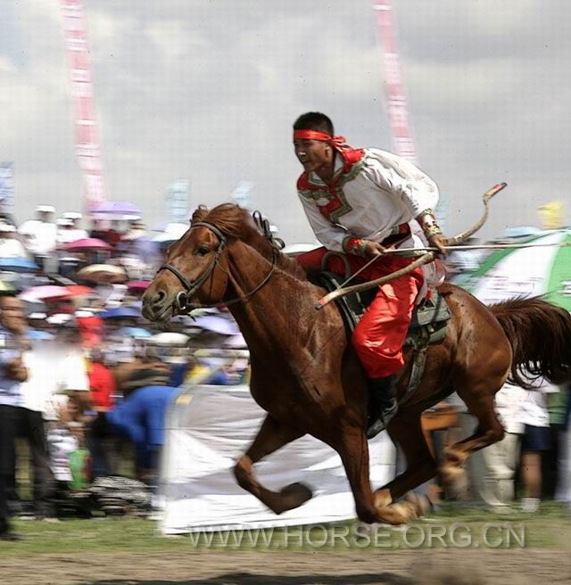 20090702153430233.jpg