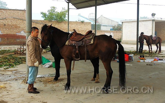 DSCN0510_HZP.jpg