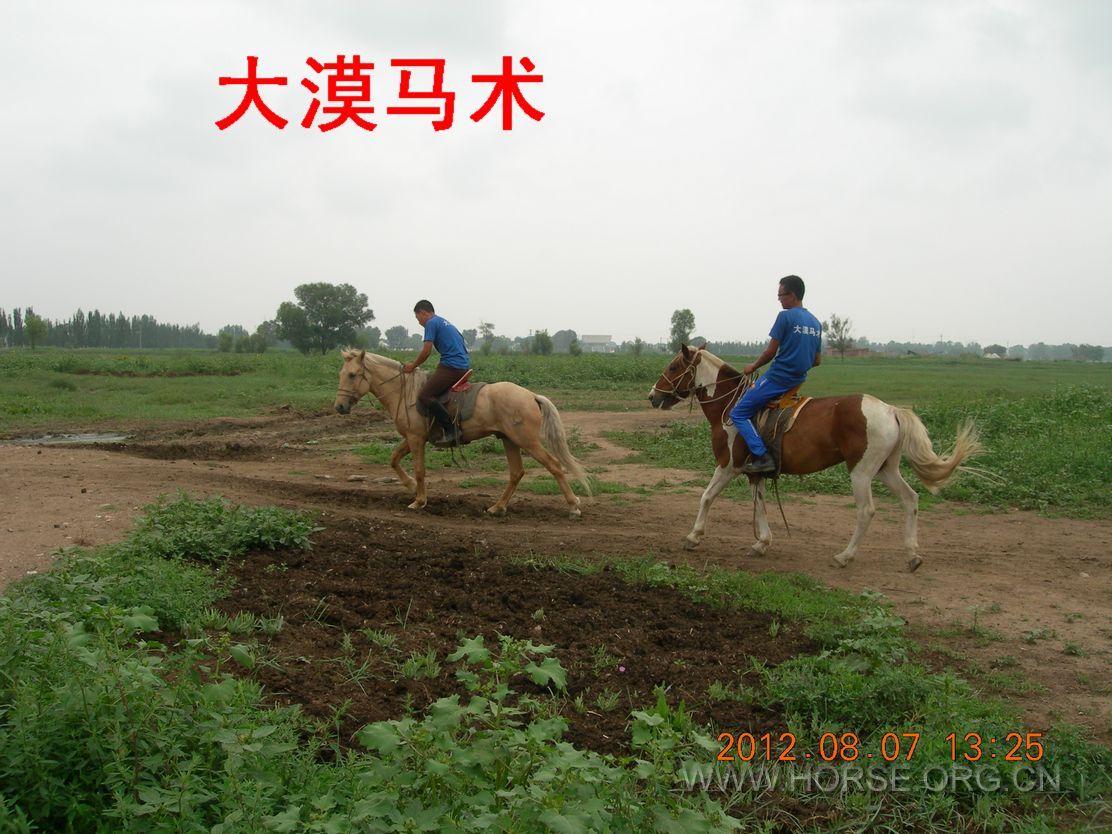 DSCN6301.JPG