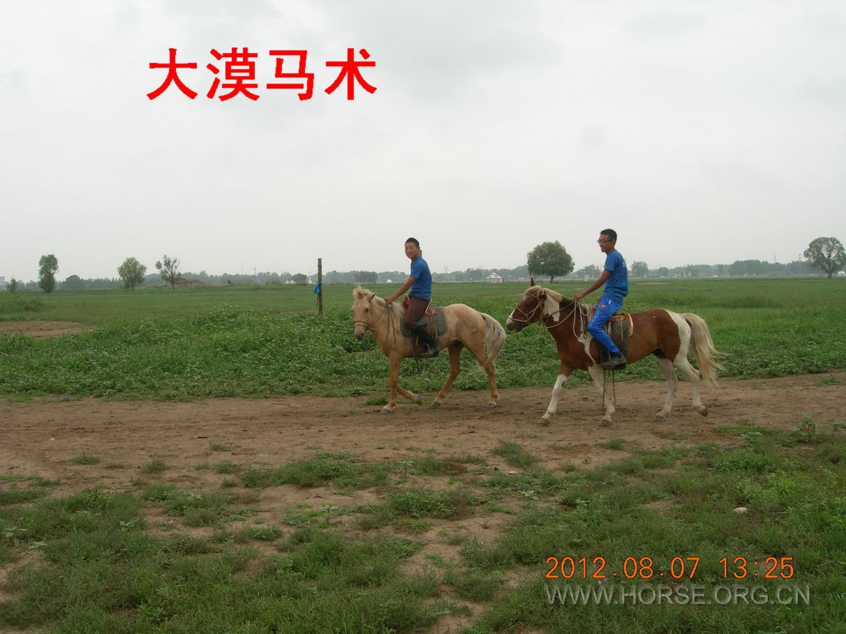 DSCN6300.JPG