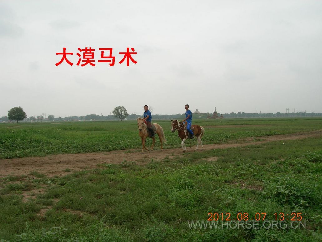 DSCN6299.JPG