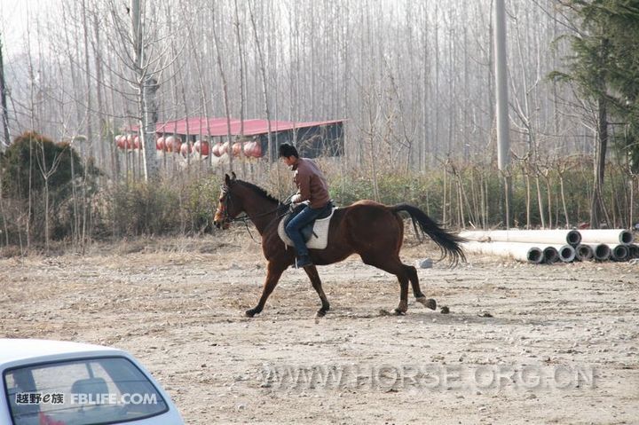 20130226_c0c37717078f4a6c9d77n15V4peNBc1N_jpg_thumb.jpg