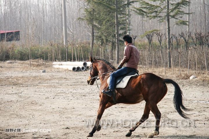 20130226_e7b519312a52965a7bf44Re3ogonAaG9_jpg_thumb.jpg