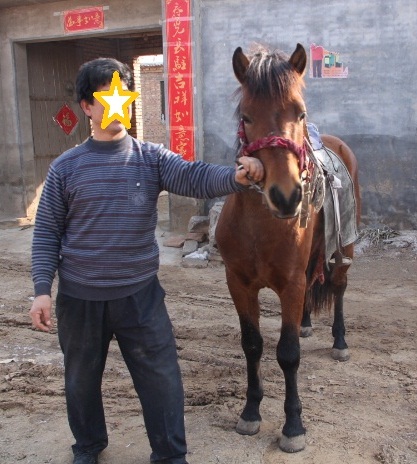 正面.JPG