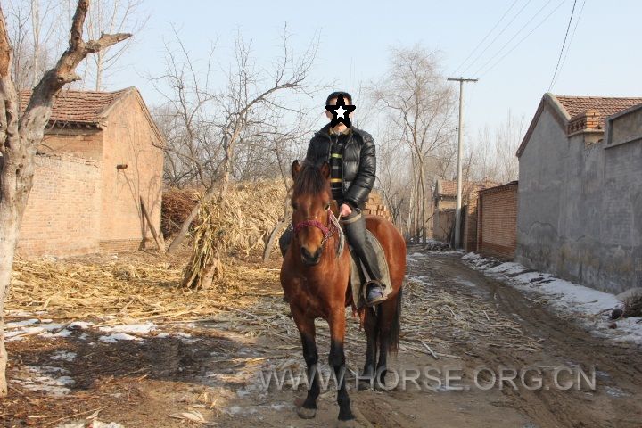 正面骑.JPG