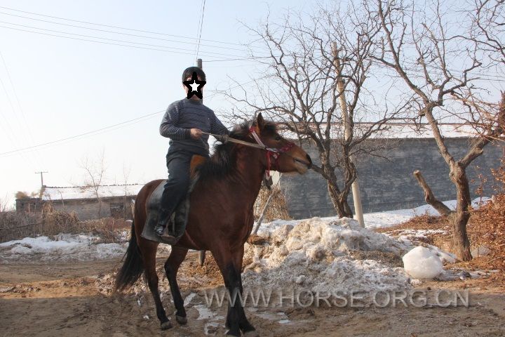 正面 骑.JPG