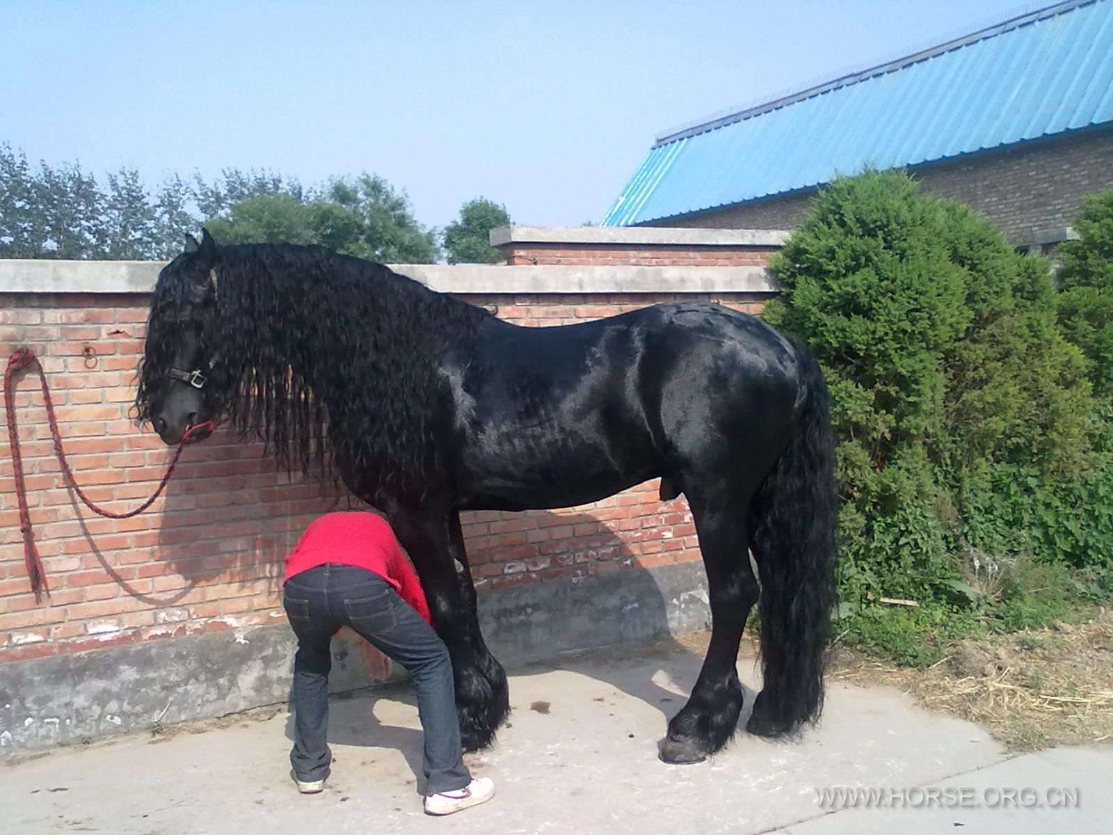 20120528021.jpg