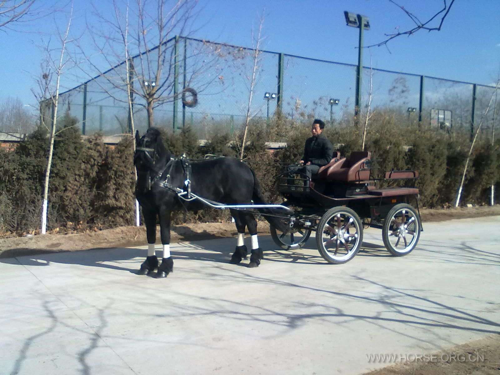 20110302085.jpg